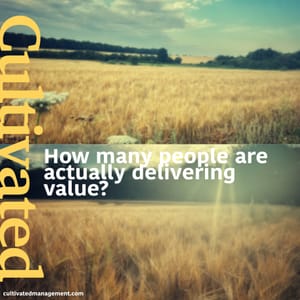 How Many People Are Actually Delivering Value