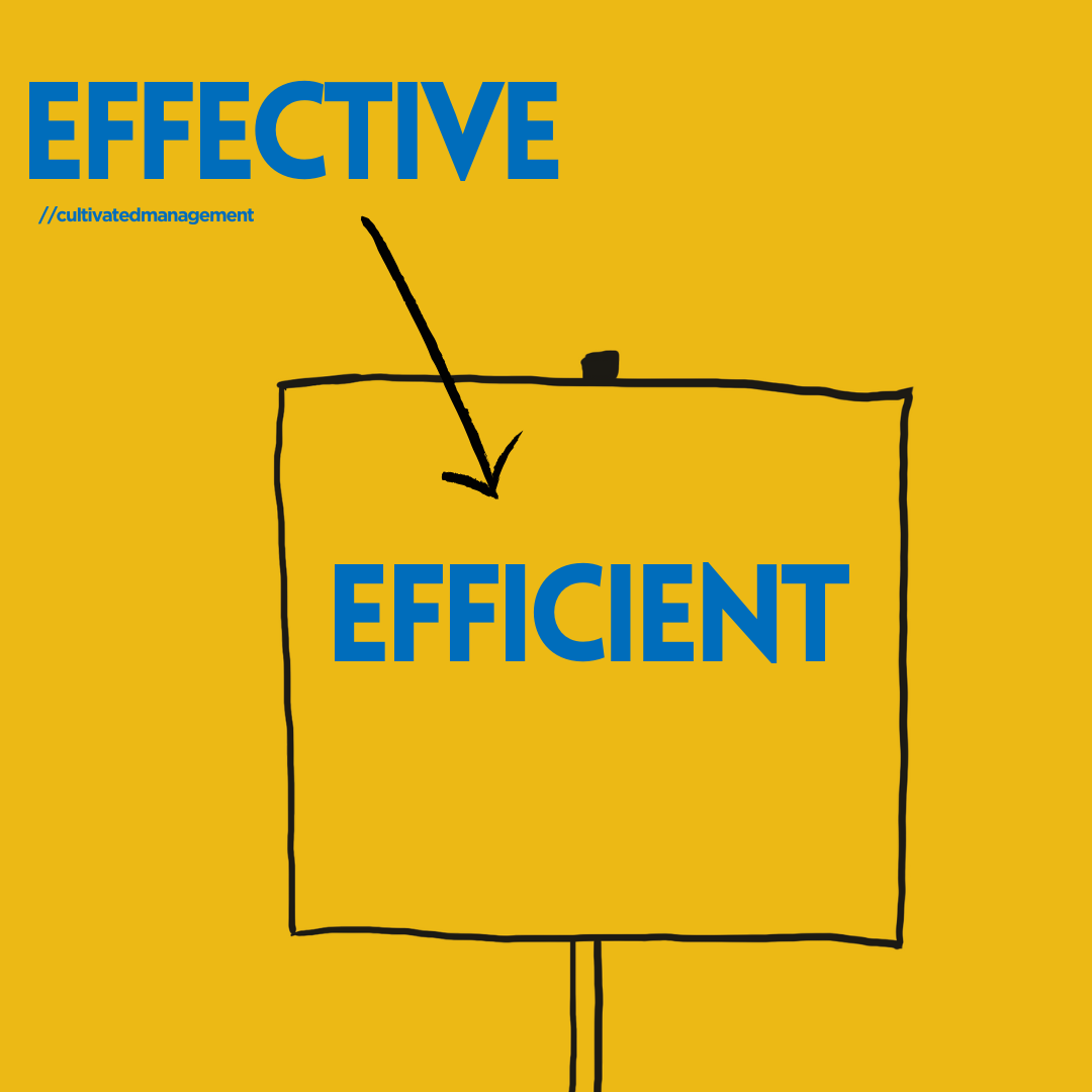 Be effective first, then efficient