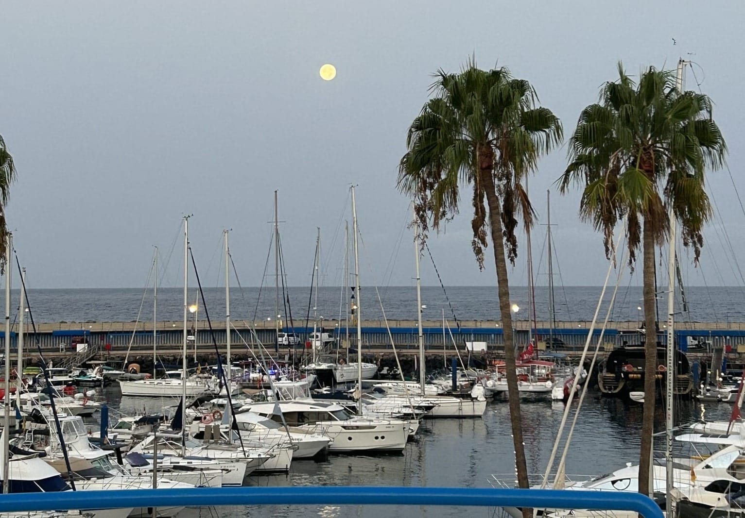 The harbour in Adeje, Tenerife where I recorded my morning podcast