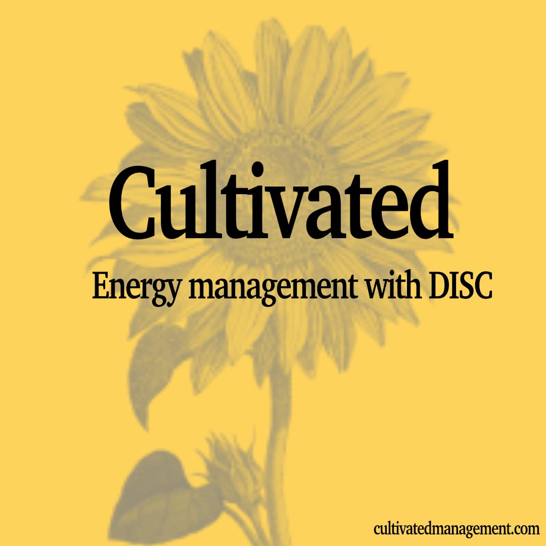 Why DISC is essential for energy management