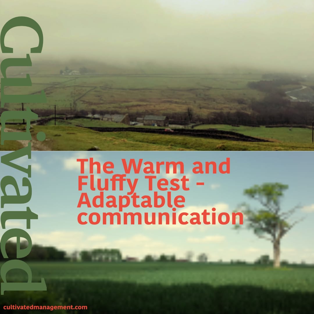 The Warm and Fluffy Test - Adaptable communication