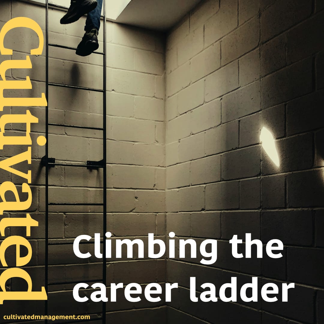 How to climb the career ladder - Meeting Notes Newsletter