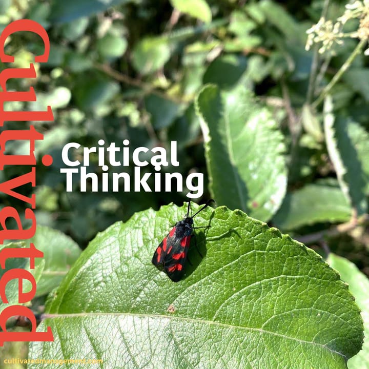 Critical Thinking - A Primer