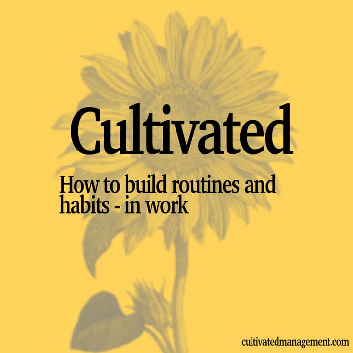 Building Routines and Habits - Podcast