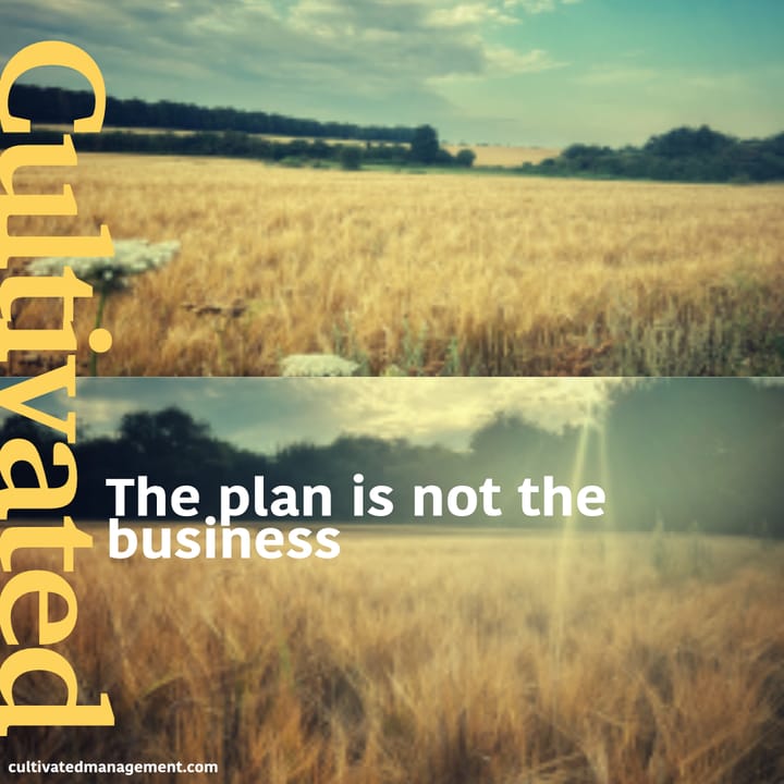 The plan is not the business