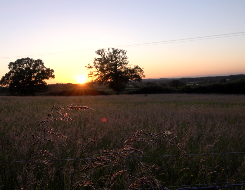 A photo of the sun setting over a field