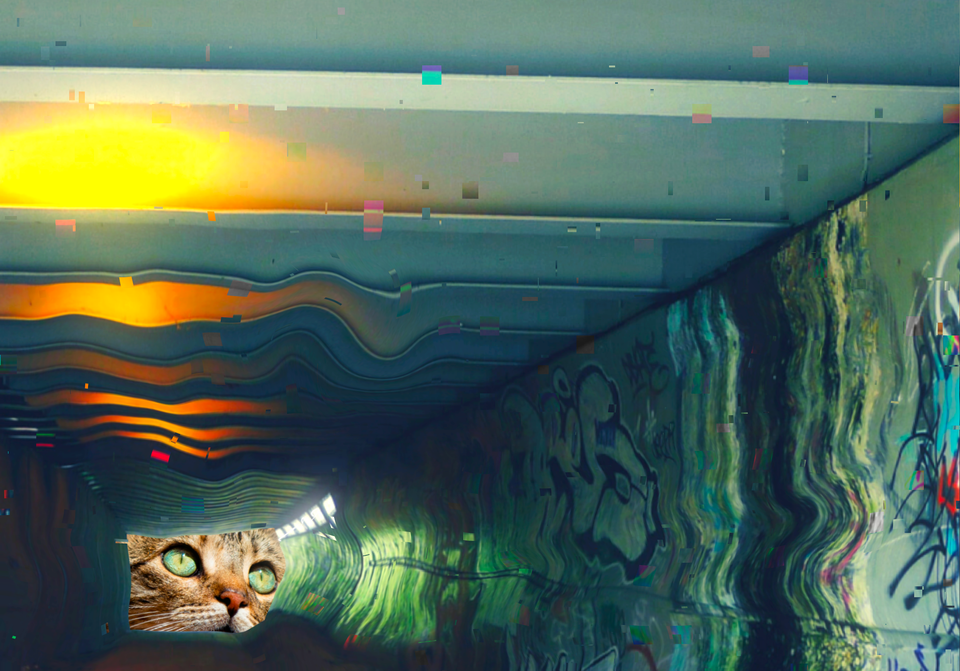 A digital collage showing a subway tunnelling narrowing down to the end and cat looking up