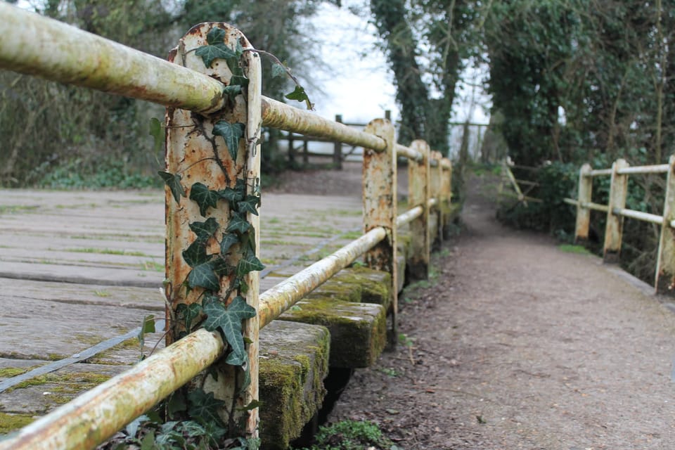 An image of some railings leading down a path to signify leading to a vision